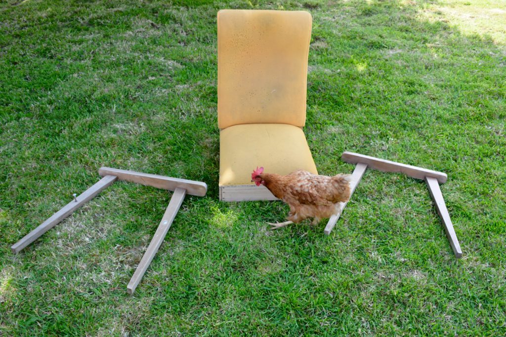 Le Meuble Du Photographe