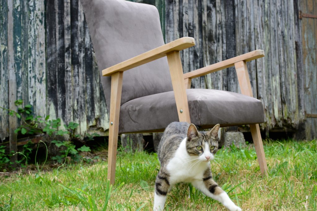 Le Meuble Du Photographe