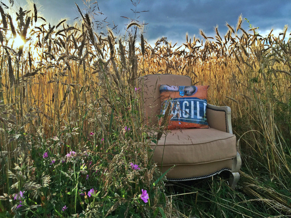 Le Meuble Du Photographe