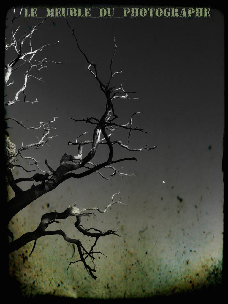 Le Meuble Du Photographe