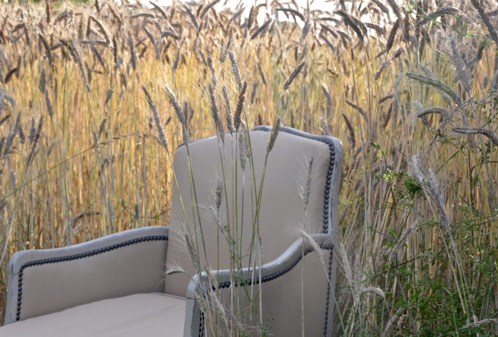 Le Meuble Du Photographe