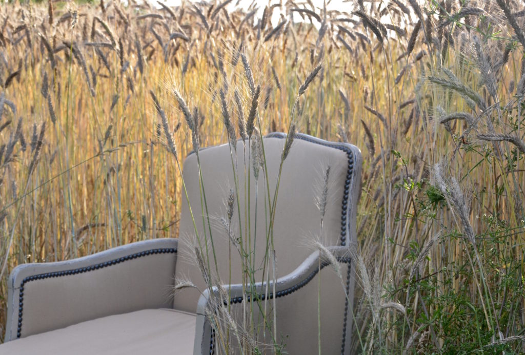 Le Meuble Du Photographe