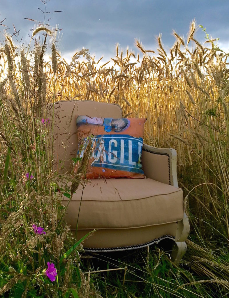 Le Meuble Du Photographe