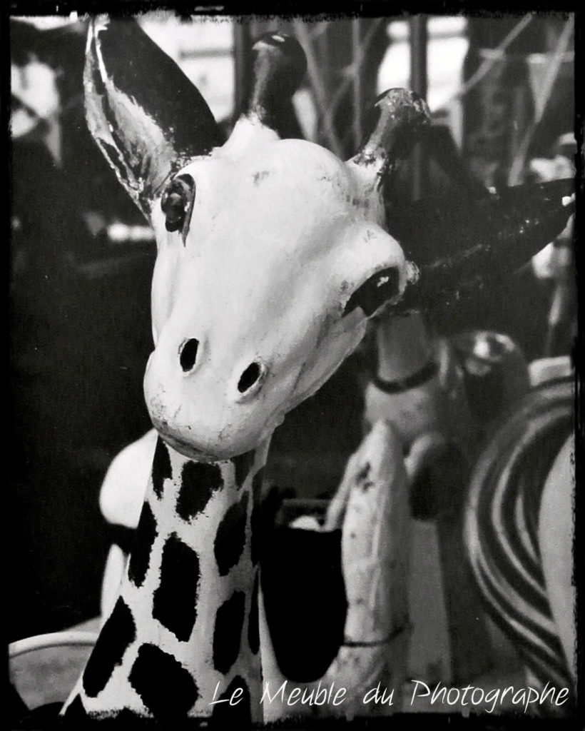 Le Meuble Du Photographe