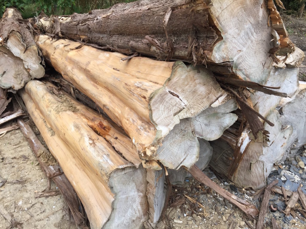 Le Meuble Du Photographe