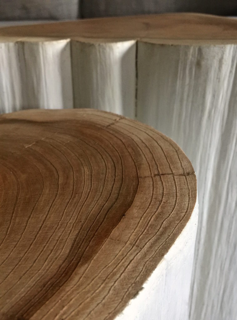 Le Meuble Du Photographe