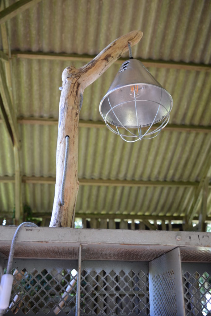 Le Meuble Du Photographe