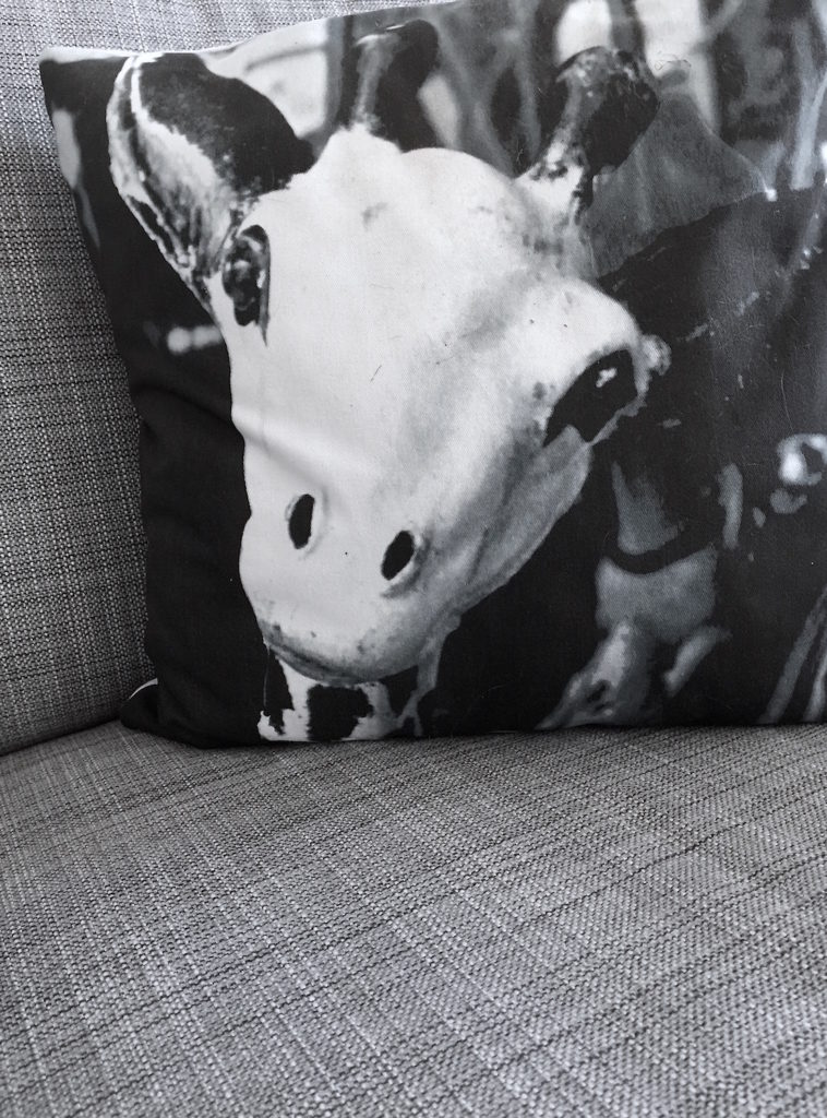 Le Meuble Du Photographe