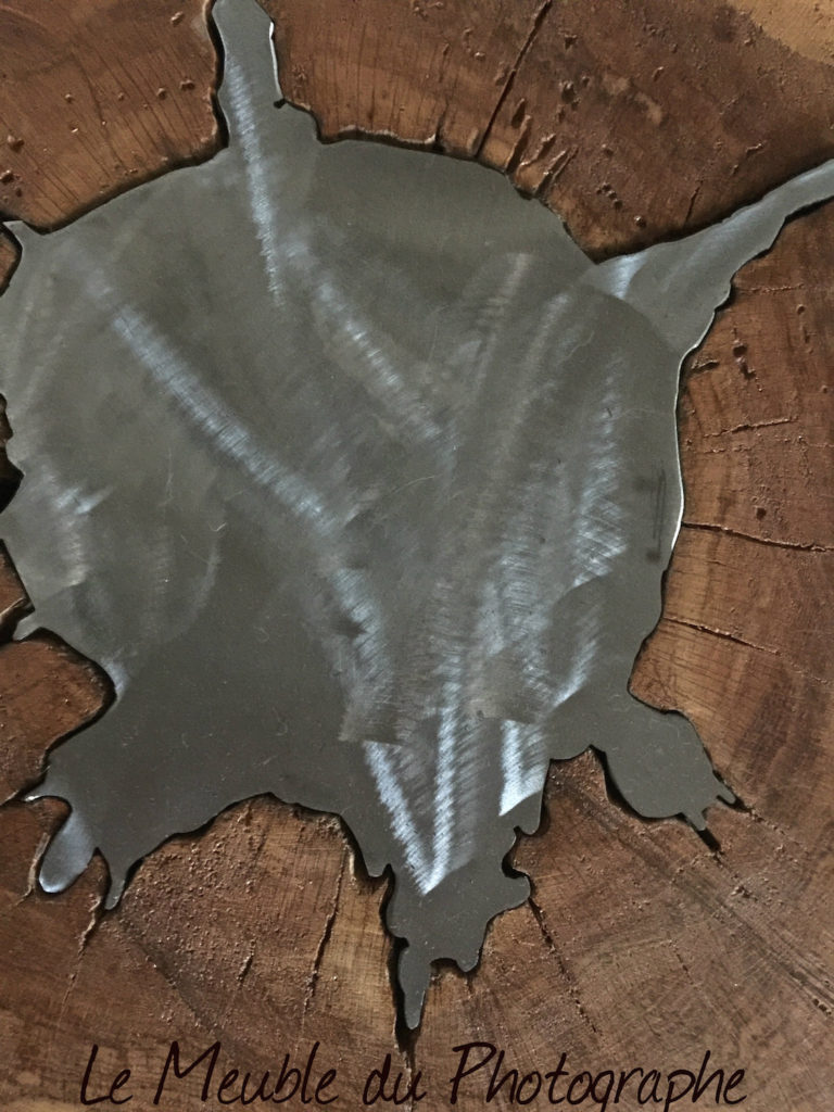 Le Meuble Du Photographe