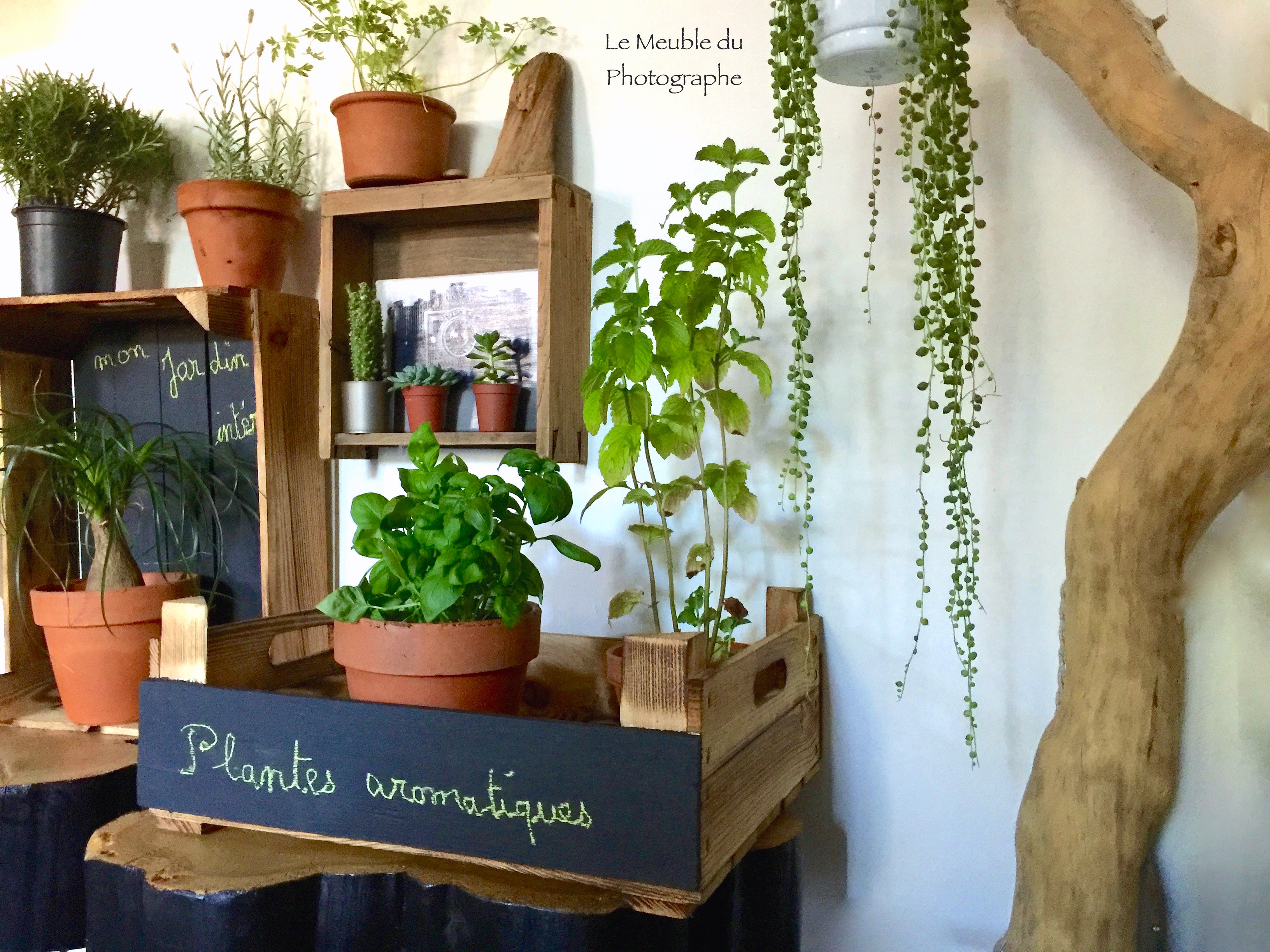 Cache-pot - Les 10 étiquettes en bois pour plantes avec tableau noir