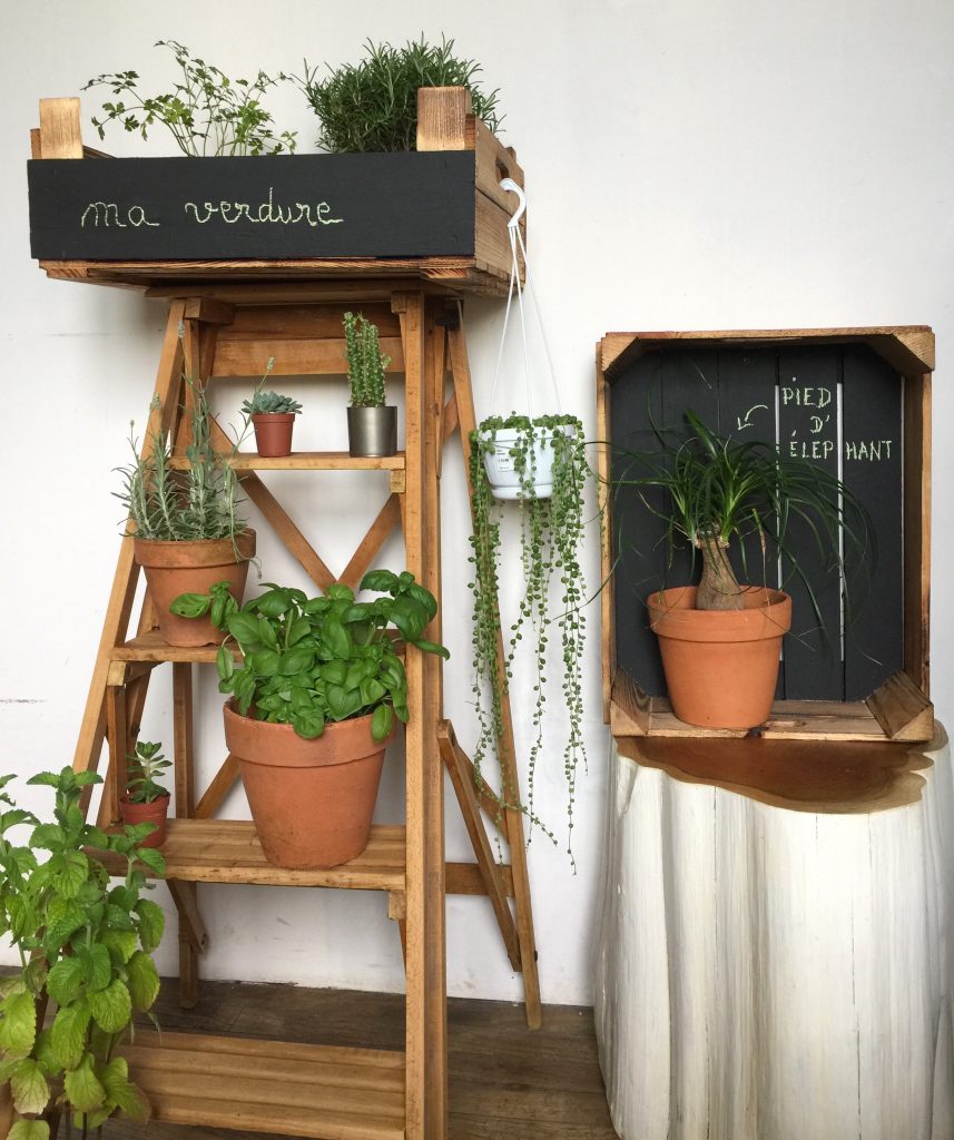 Le Meuble Du Photographe