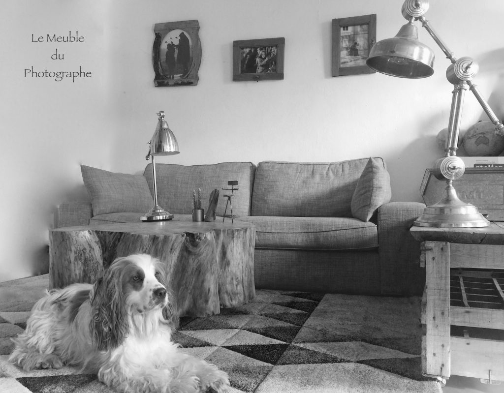 Le Meuble Du Photographe