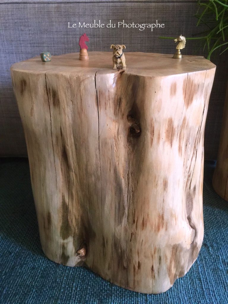 Le Meuble Du Photographe