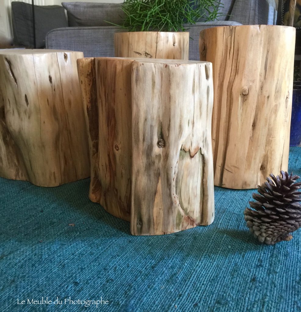 Le Meuble Du Photographe