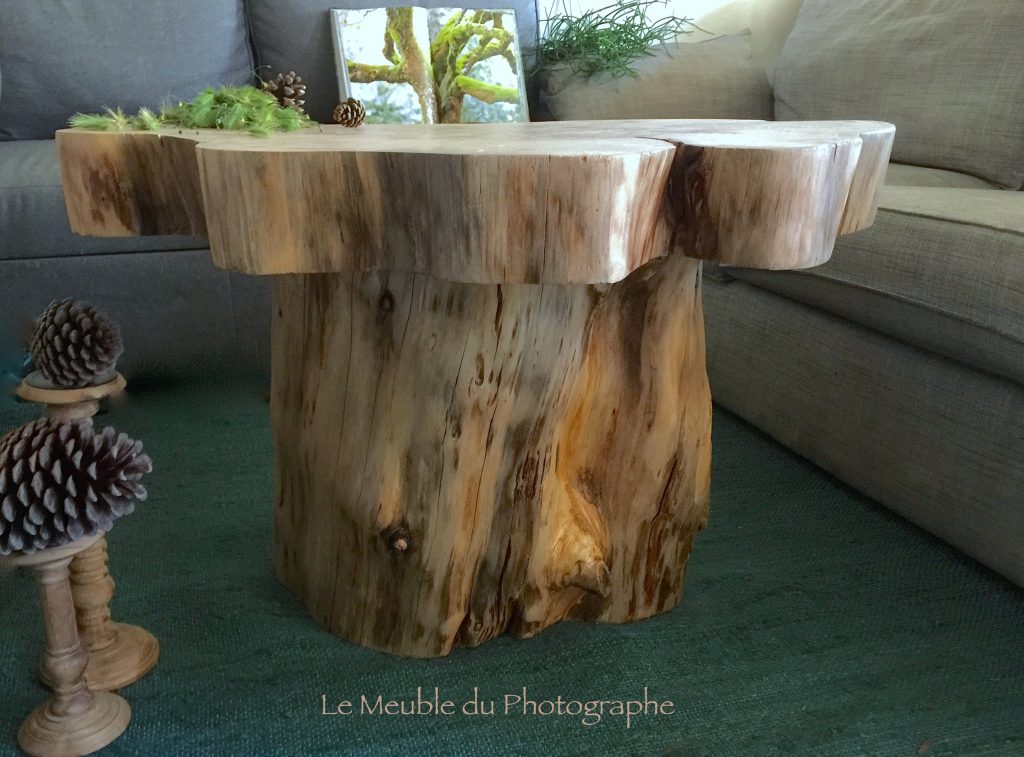 Le Meuble Du Photographe