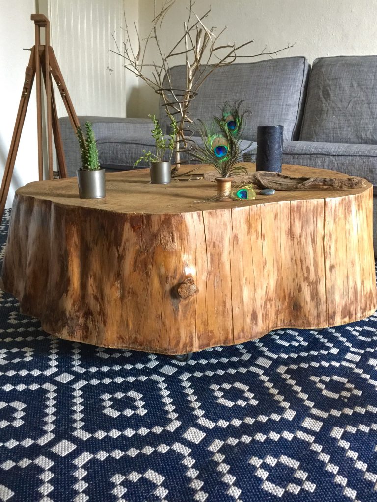 Le Meuble Du Photographe