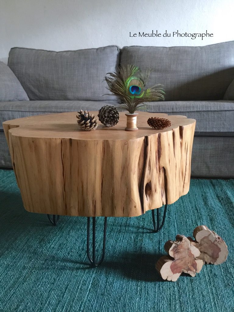 Le Meuble Du Photographe