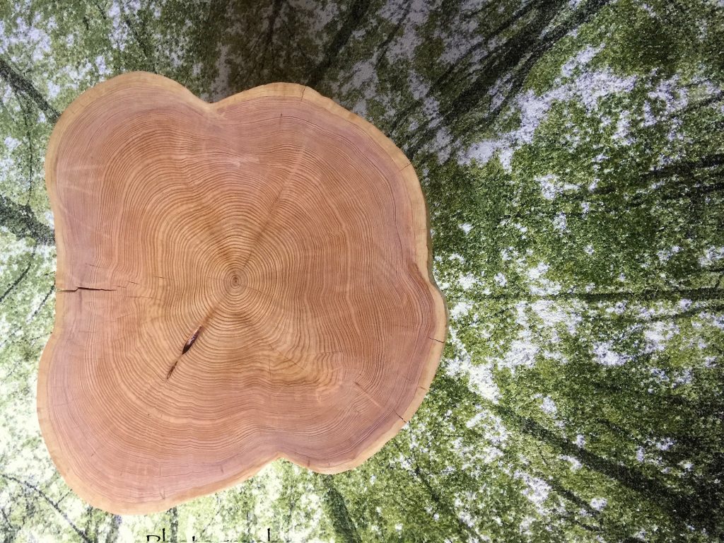 Le Meuble Du Photographe