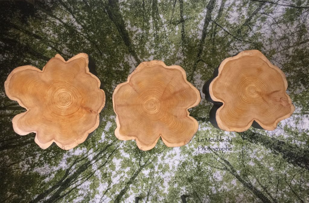 Le Meuble Du Photographe