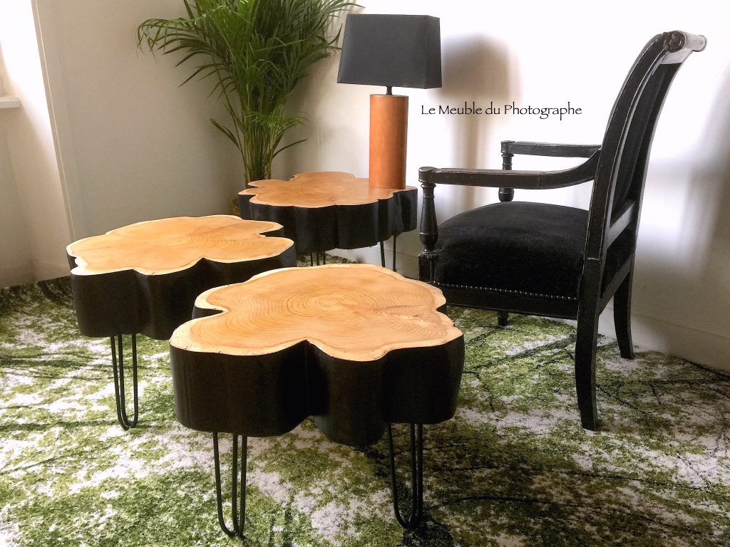 Le Meuble Du Photographe