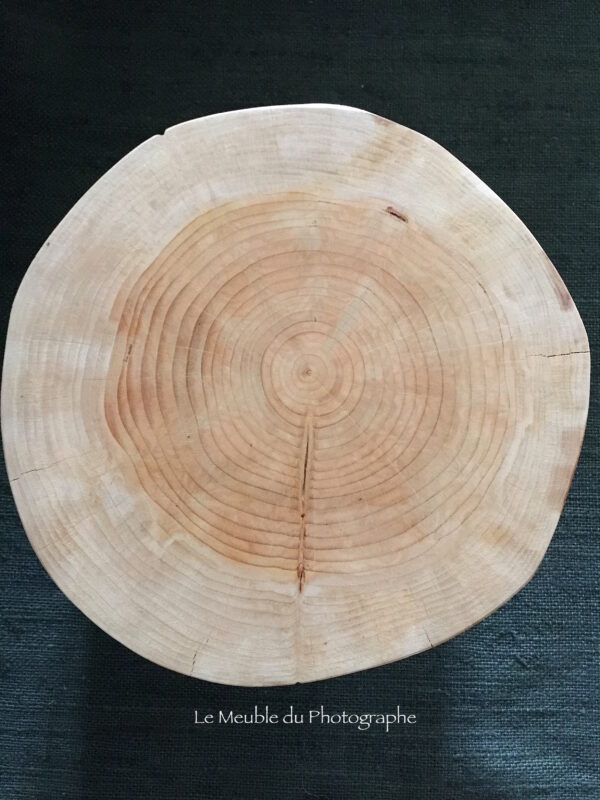 motif plateau d'une table rondin. Tronc d'un douglas vu du dessus, à la coupe. Poncé, vitrifié en table basse.