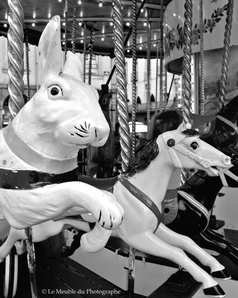 Le Meuble Du Photographe