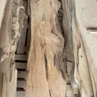 Tête de lit en planche de bois forme arbre -3 nouvelles dispo! – Image 12