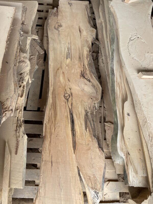 Tête de lit en planche de bois forme arbre -3 nouvelles dispo! – Image 12