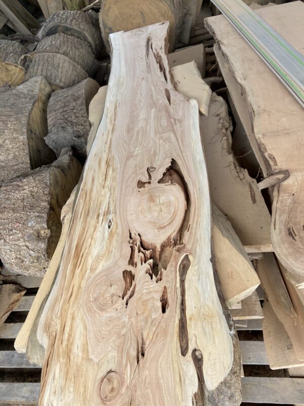 Tête de lit en planche de bois forme arbre -3 nouvelles dispo! – Image 13