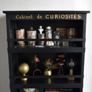 Cabinet de curiosités, meuble noir