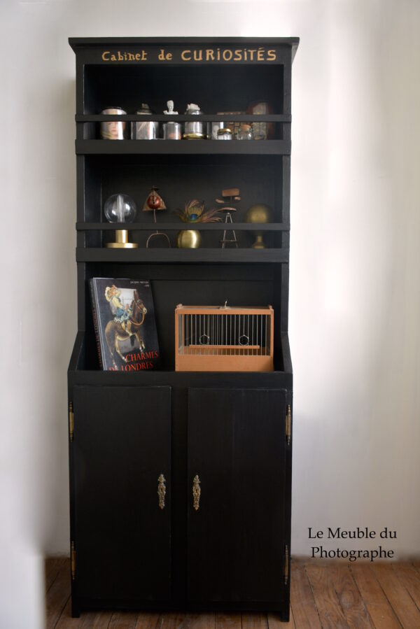 meuble Cabinet de Curiosités