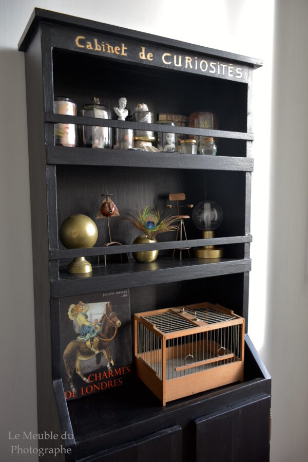 meuble cabinet de curiosités