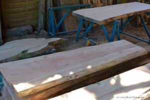 planches de séquoia pour plan de travail, mobilier bois non usiné, forme arbre. Atelier artisan. Bretagne. France.