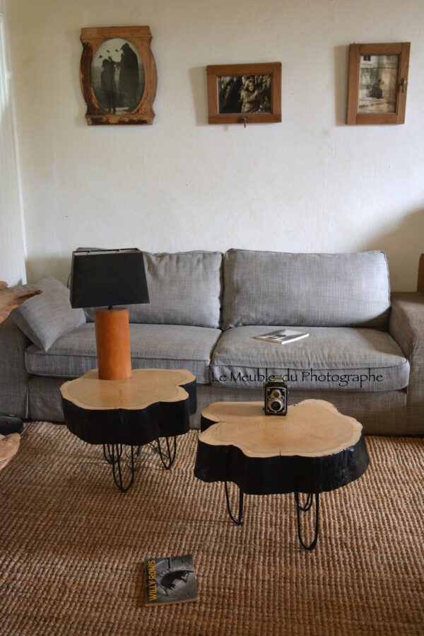 tables basses rondin de bois sur pieds métal hairpin legs noir dans un salon nature avec photos noir et blanc