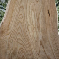 Plateau de frêne olivier forme arbre pour bureau. Fabrication artisanale avec bois local.