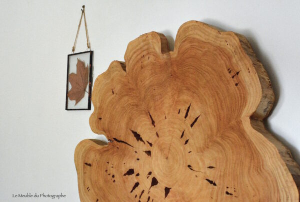 Un rondin de bois à poser sur le mur pour une déco originale et 100% naturelle.