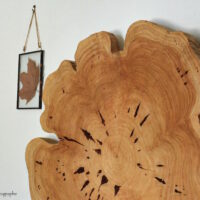Un rondin de bois à poser sur le mur pour une déco originale et 100% naturelle.