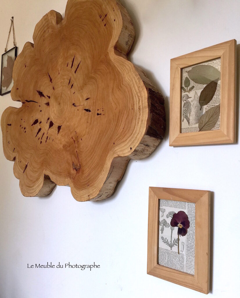 Le Meuble Du Photographe