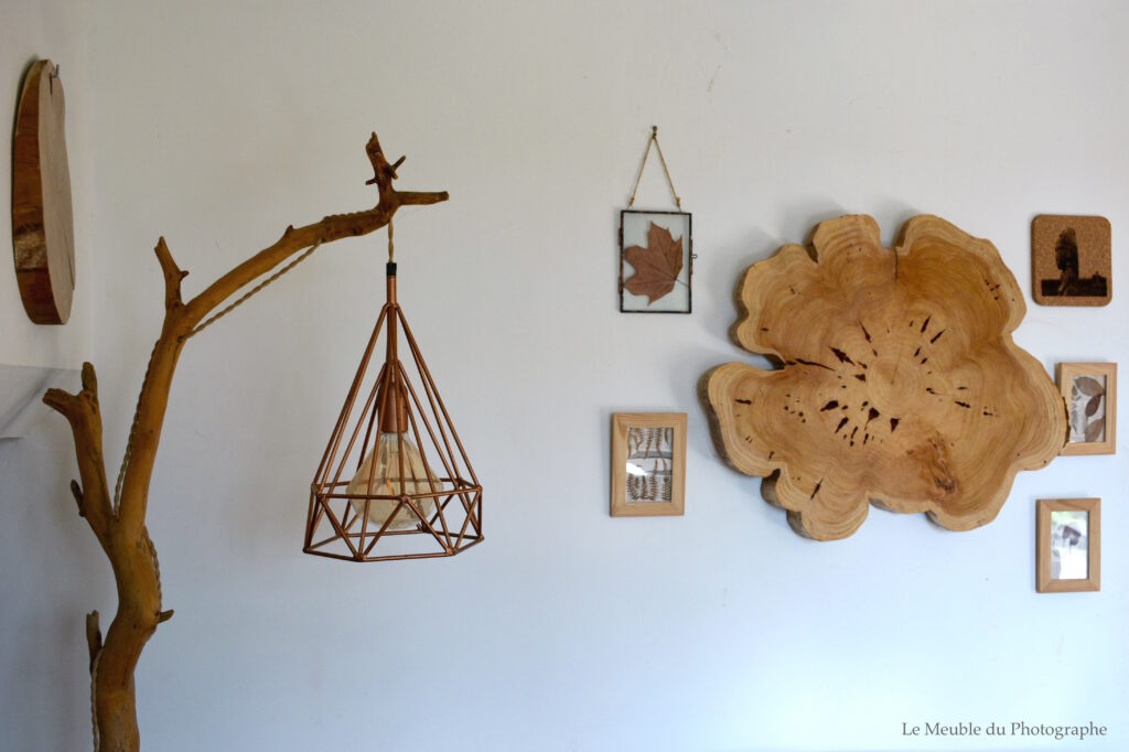 Le Meuble Du Photographe