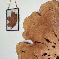 rondin de bois en déco murale, esprit 100% nature.