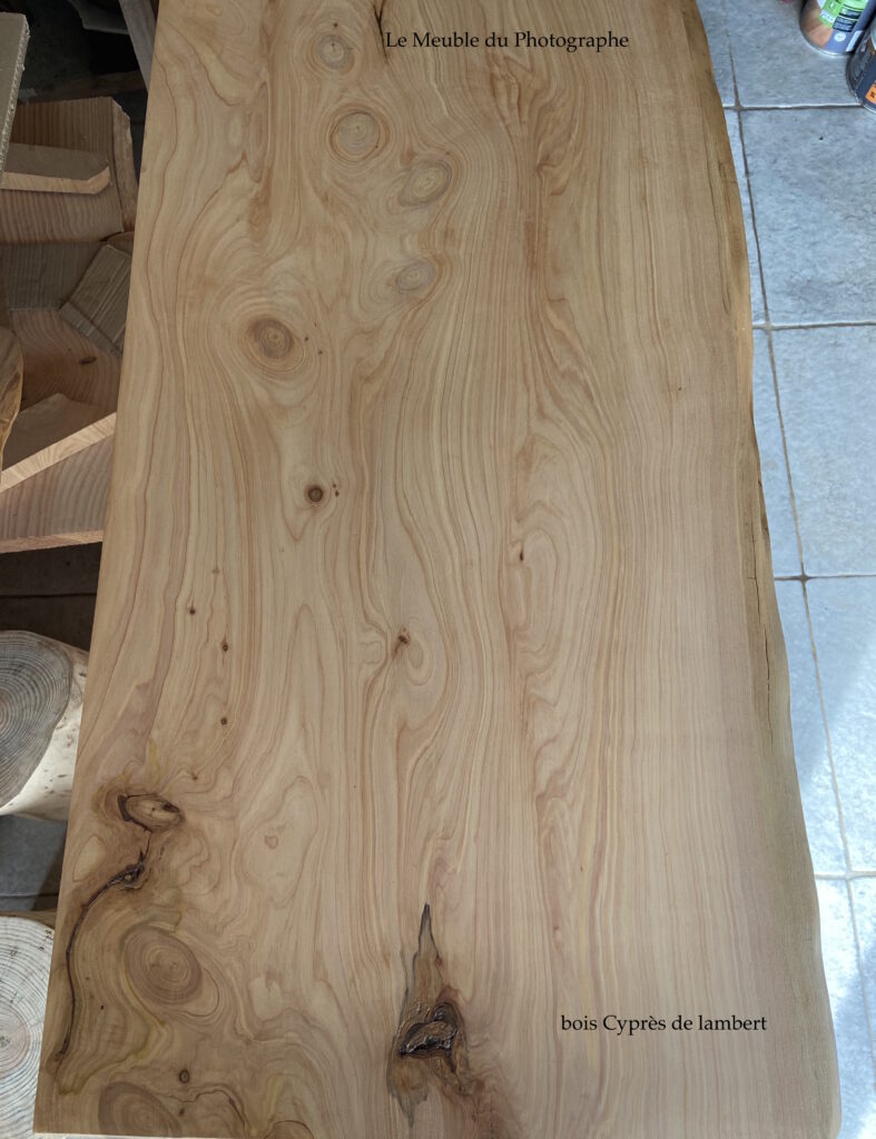 Le Meuble Du Photographe