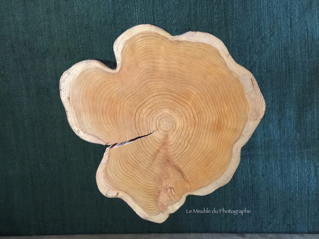 Le Meuble Du Photographe