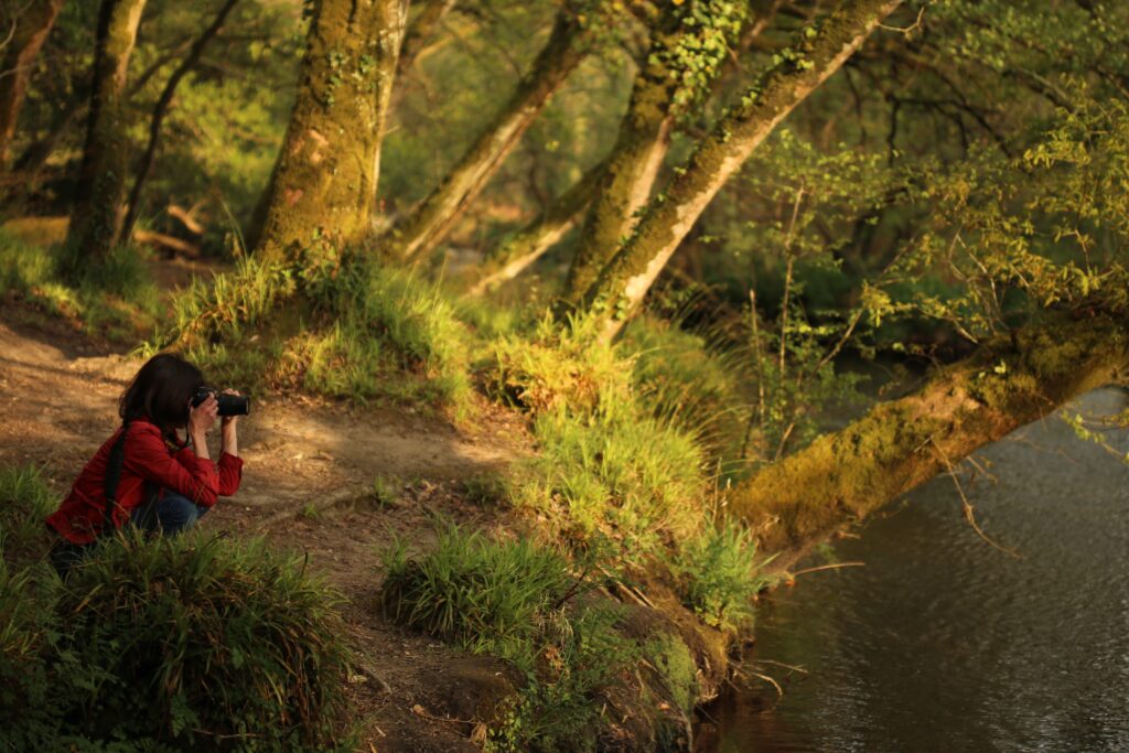 Le Meuble Du Photographe