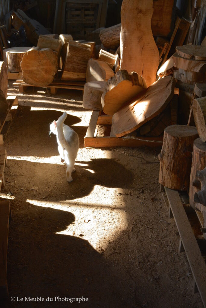 Le Meuble Du Photographe