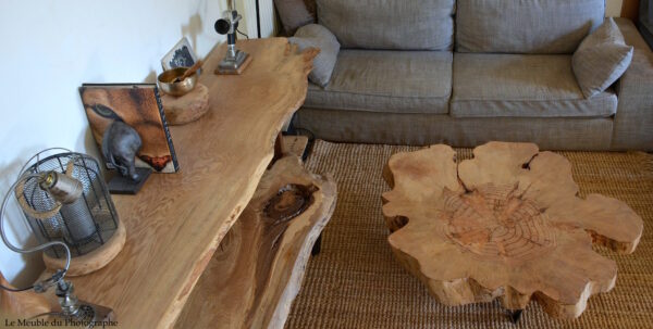salon table basse rondin et console planche arbre artisanale