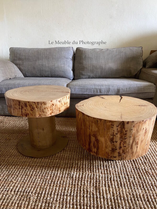 tables basses rondin de bois duo