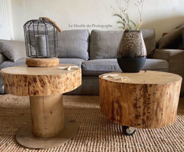 paire tables basses rondin pin