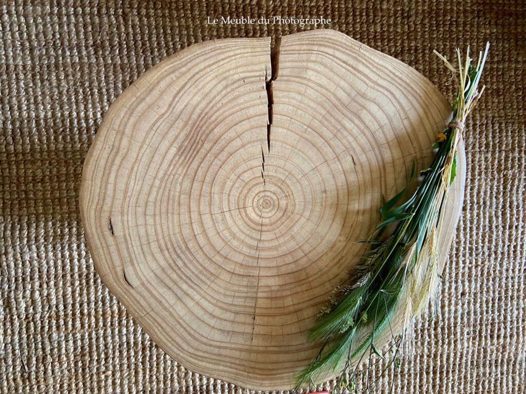 Le Meuble Du Photographe