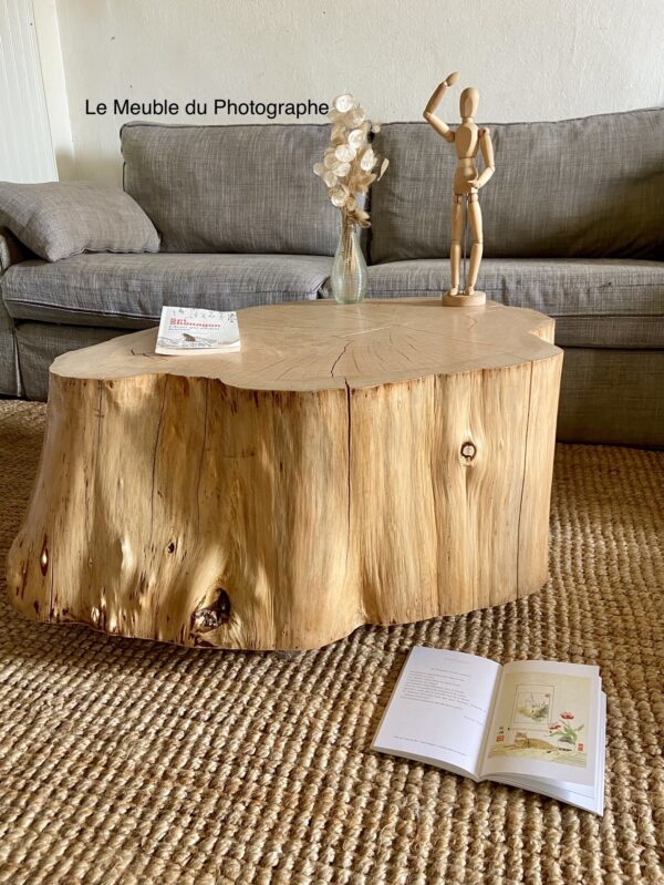 grosse table rondin 75cm dans un salon nature