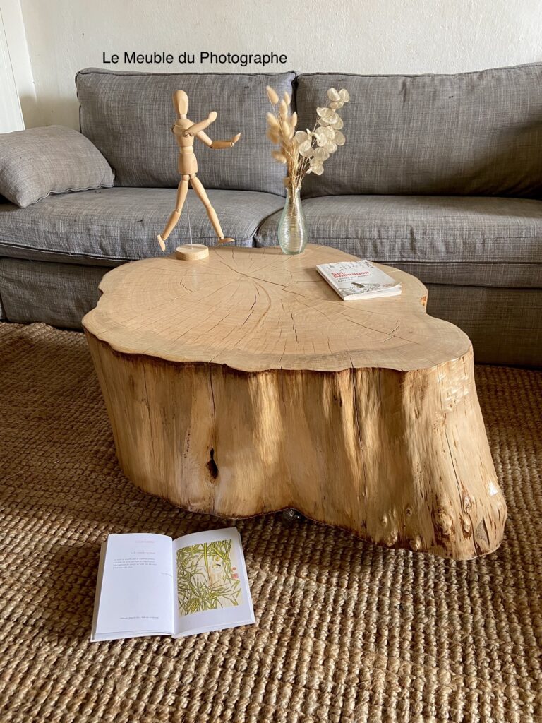 Le Meuble Du Photographe